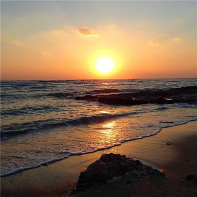 乐鱼APP官方登录入口leyu