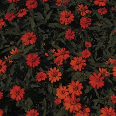 银河棋牌下载手机版