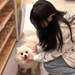 爱游戏appapp下载